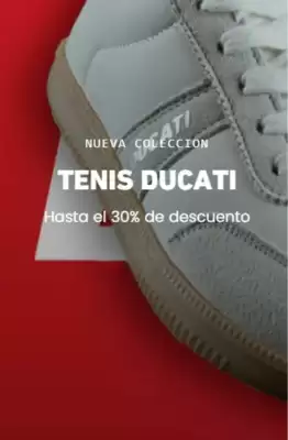 Catálogo Replay's (válido hasta 15-05)