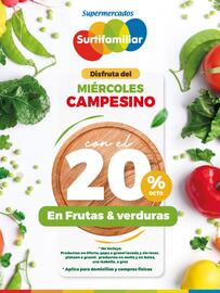 Catálogo Surtifamiliar Página 1