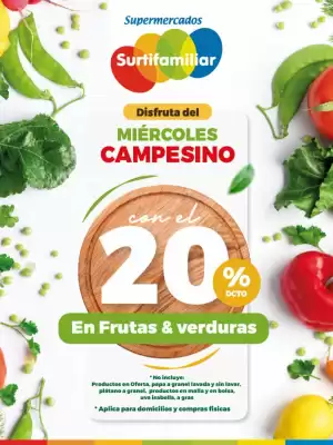 Catálogo Surtifamiliar (válido hasta 28-05)
