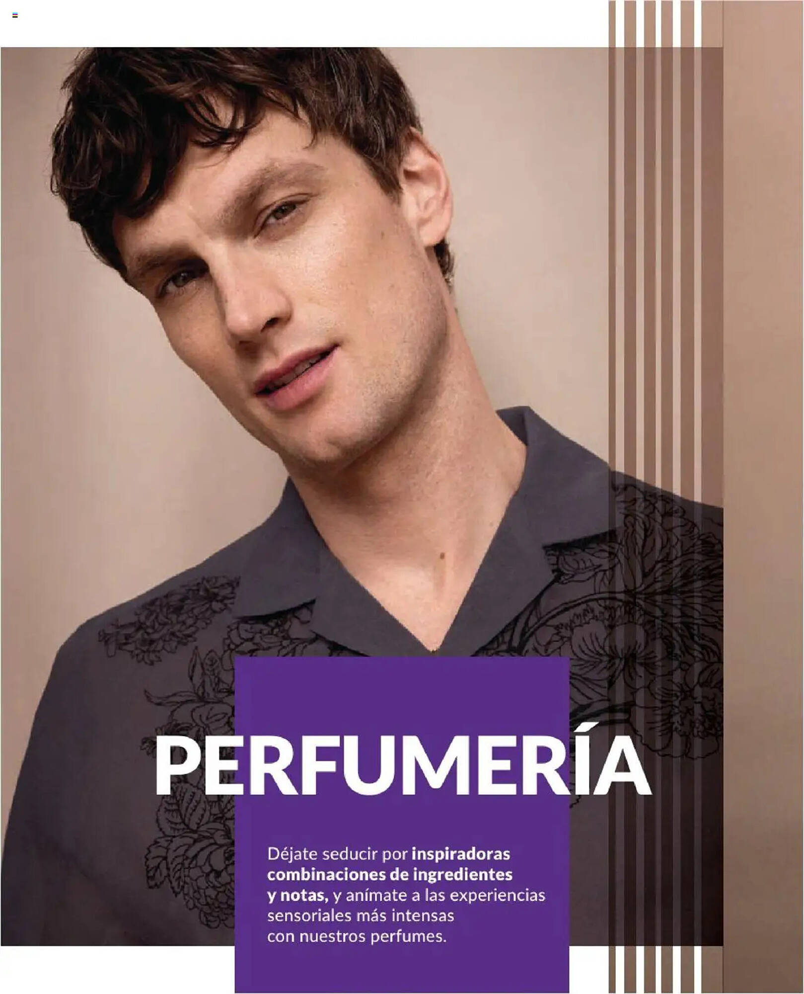 Catálogo Avon Página 244
