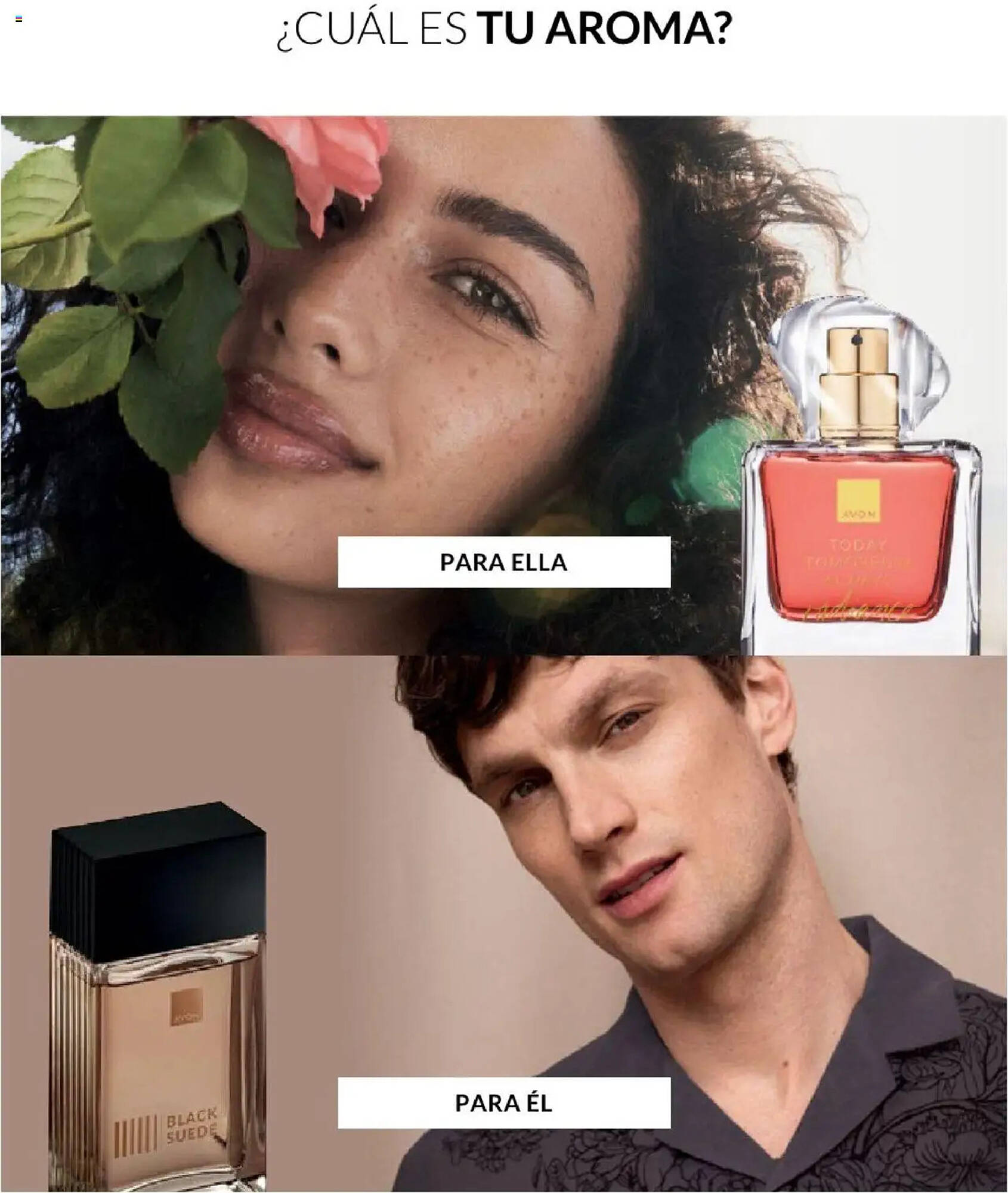 Catálogo Avon Página 69