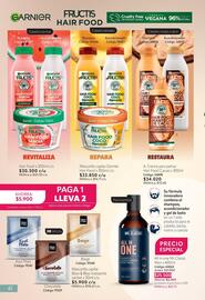 Catálogo Nova Venta Página 42