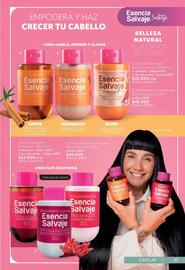 Catálogo Nova Venta Página 43