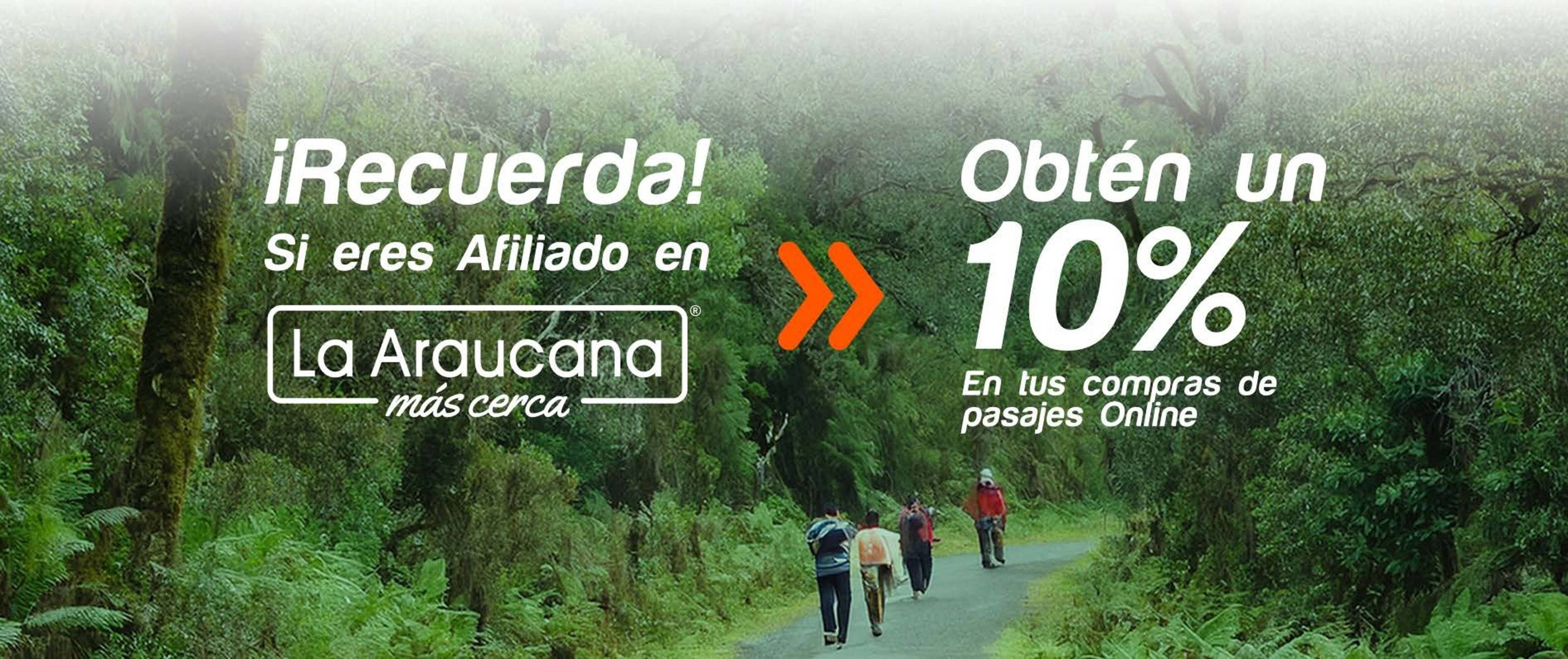 Catálogo Pullman Bus Página 1
