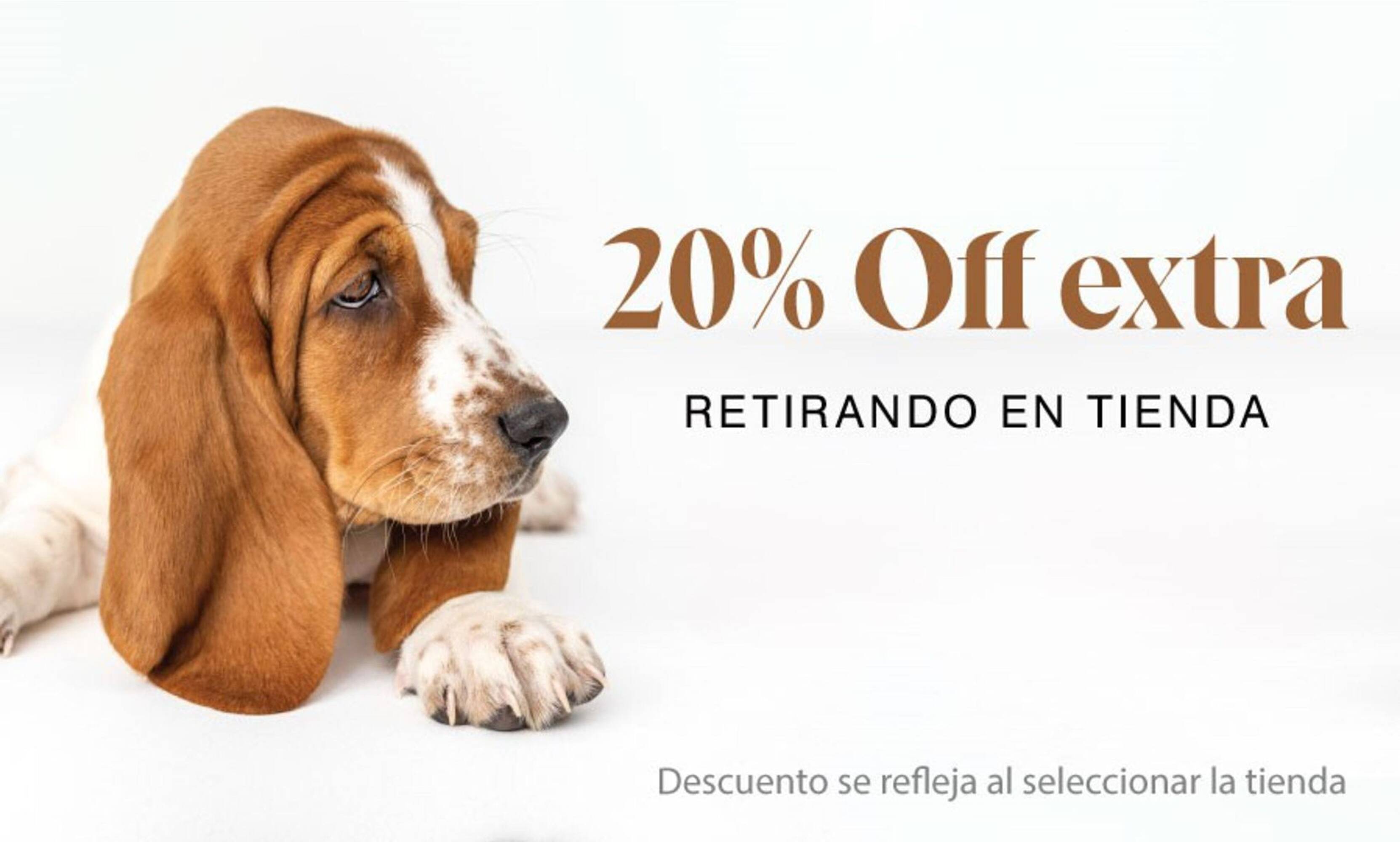 Catálogo Hush Puppies Página 1