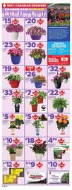 Independent Grocer flyer week 19 Page 10