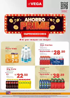 Catálogo Vega (válido hasta 31-05)