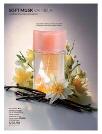 Catálogo Avon Página 100