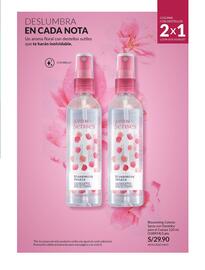 Catálogo Avon Página 169