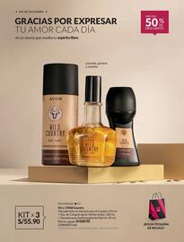 Catálogo Avon Página 18