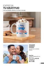 Catálogo Avon Página 17