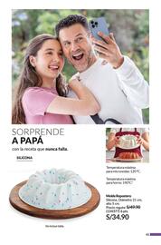 Catálogo Avon Página 41