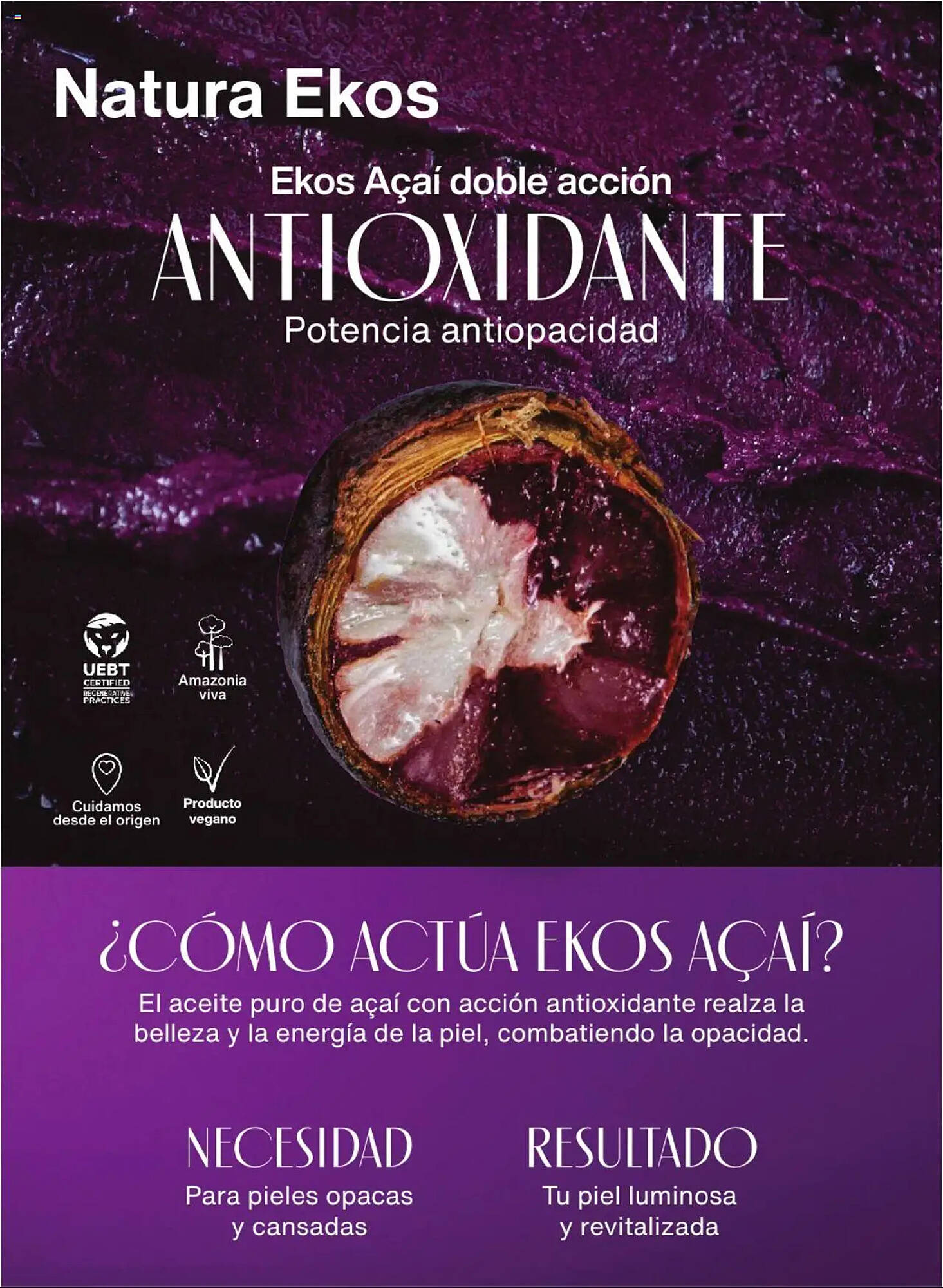 Catálogo Natura Página 100