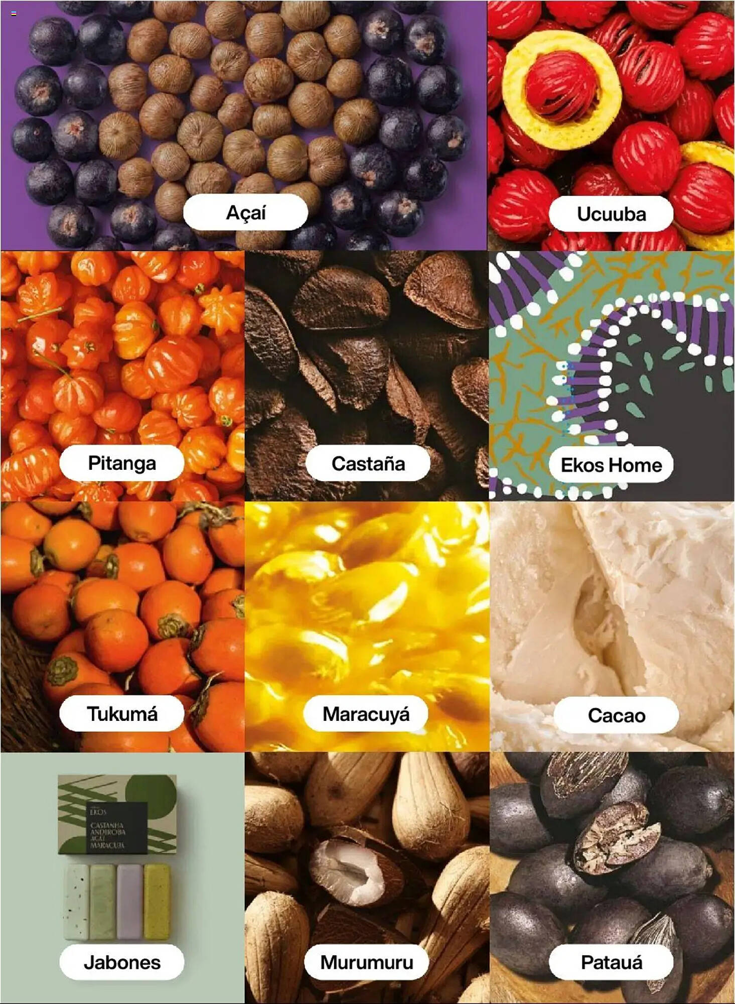 Catálogo Natura Página 99
