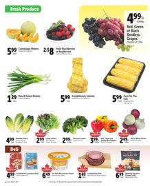 Family Foods flyer week 19 Page 2