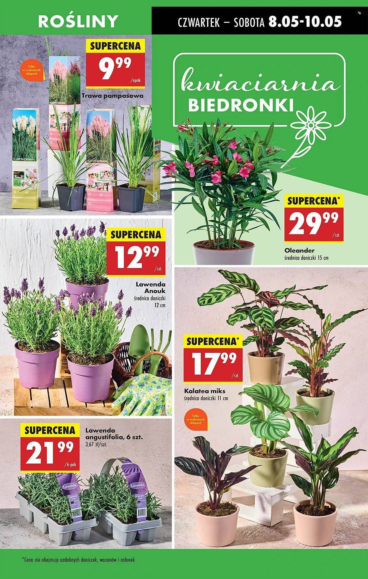 Biedronka gazetka tydzień 19 Strona 68