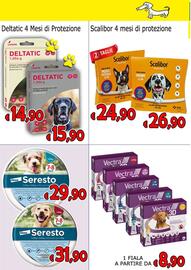 Volantino Animal City Pagina 3