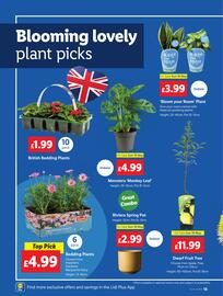 Lidl leaflet week 20 Page 20