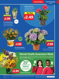 Lidl leaflet week 20 Page 21