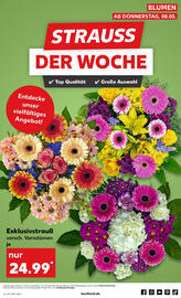 Kaufland Prospekt woche 19 Seite 55