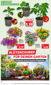 Kaufland Prospekt - Regio-Wochen woche 19 Seite 24