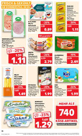 Kaufland Prospekt - Regio-Wochen woche 19 Seite 30