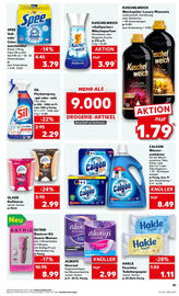 Kaufland Prospekt - Regio-Wochen woche 19 Seite 41