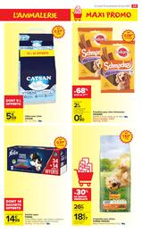 Catalogue Carrefour Market page 25
