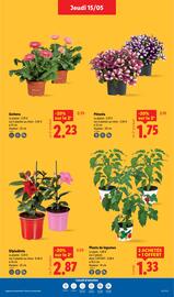 Catalogue Lidl semaine 20 page 29