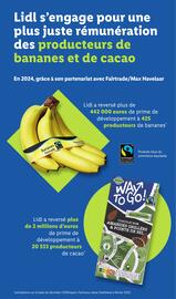 Catalogue Lidl semaine 20 page 85