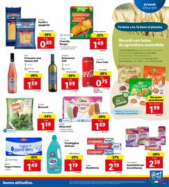 Volantino Lidl settimana 20 Pagina 13