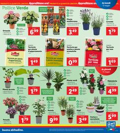 Volantino Lidl settimana 20 Pagina 19