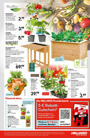 Hellweg Flugblatt woche 19 Seite 21