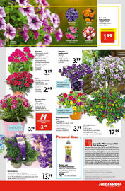Hellweg Flugblatt woche 19 Seite 23