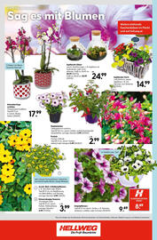 Hellweg Flugblatt woche 19 Seite 24