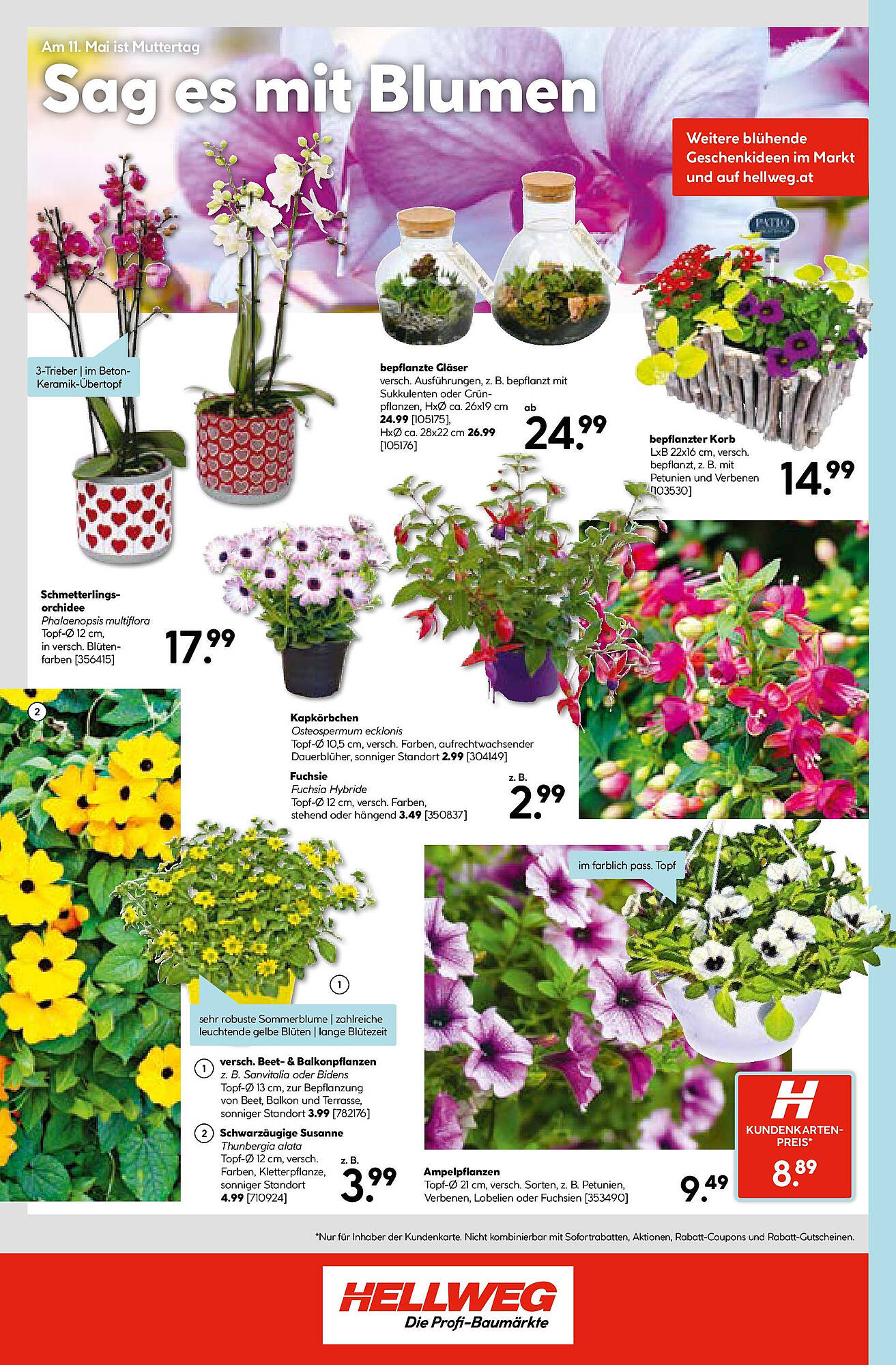 Hellweg Flugblatt woche 19 Seite 24