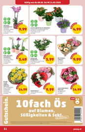 PENNY Flugblatt woche 19 Seite 11