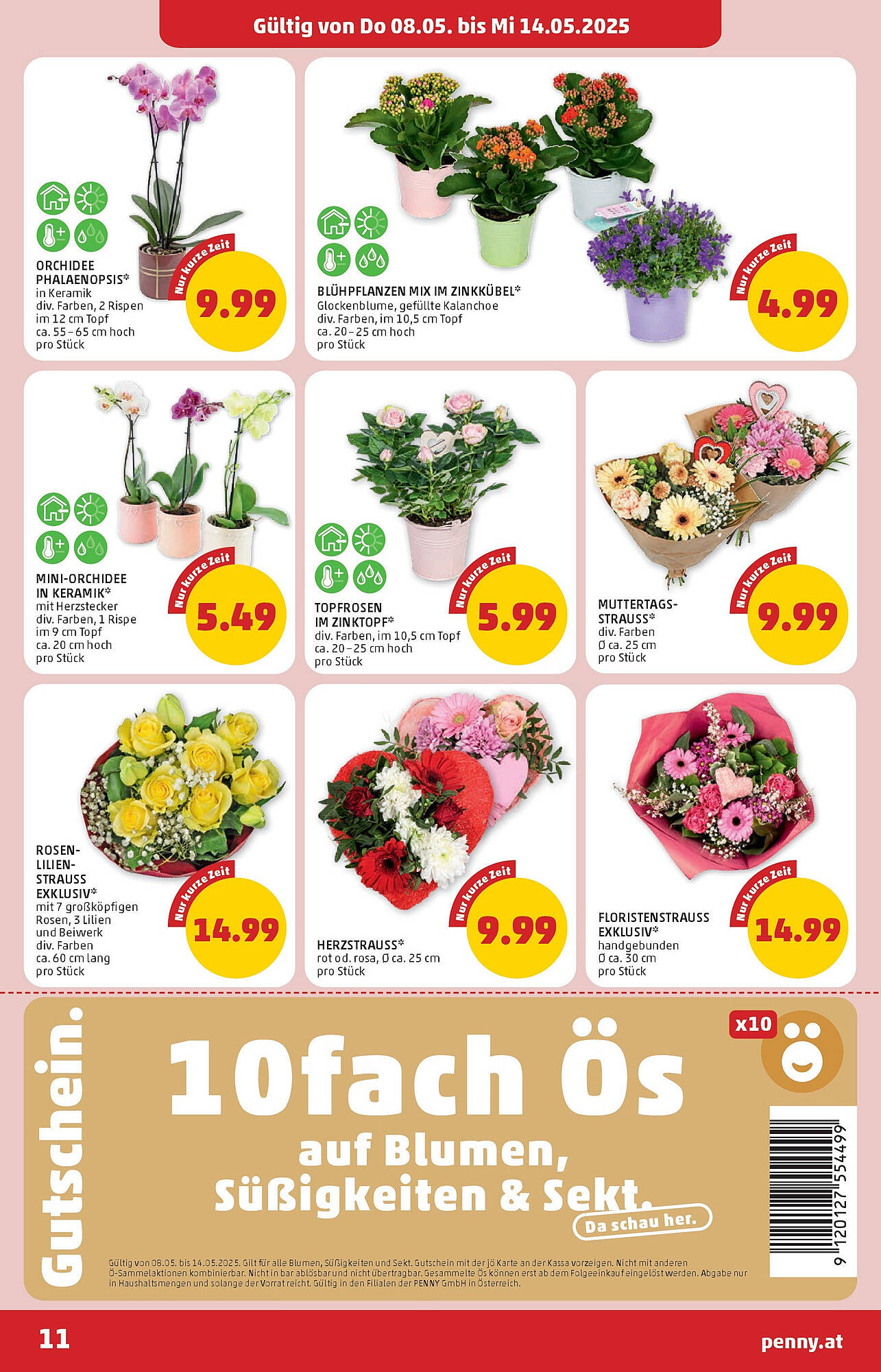 PENNY Flugblatt woche 19 Seite 11
