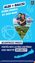 ALDI akciós újság hét 19 Oldal 47