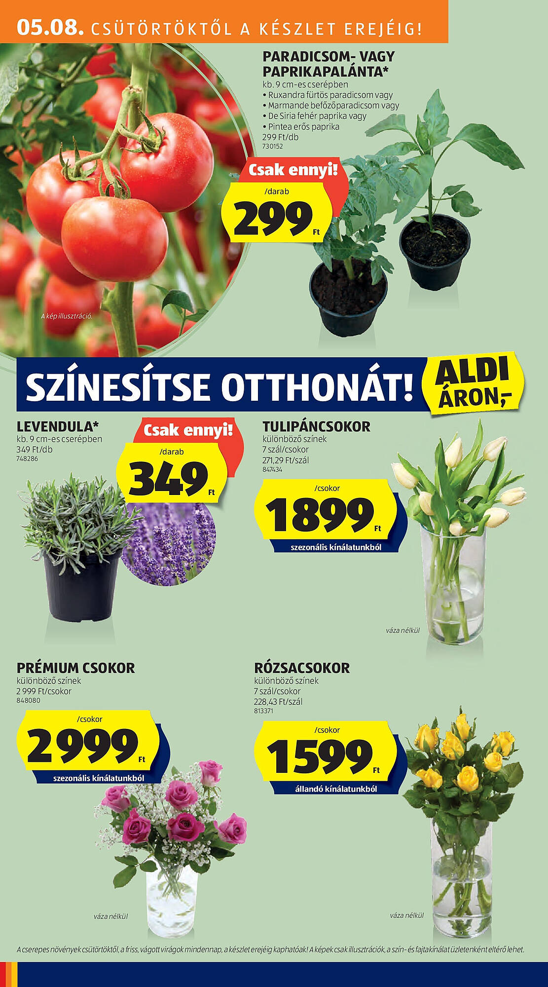 ALDI akciós újság hét 19 Oldal 26