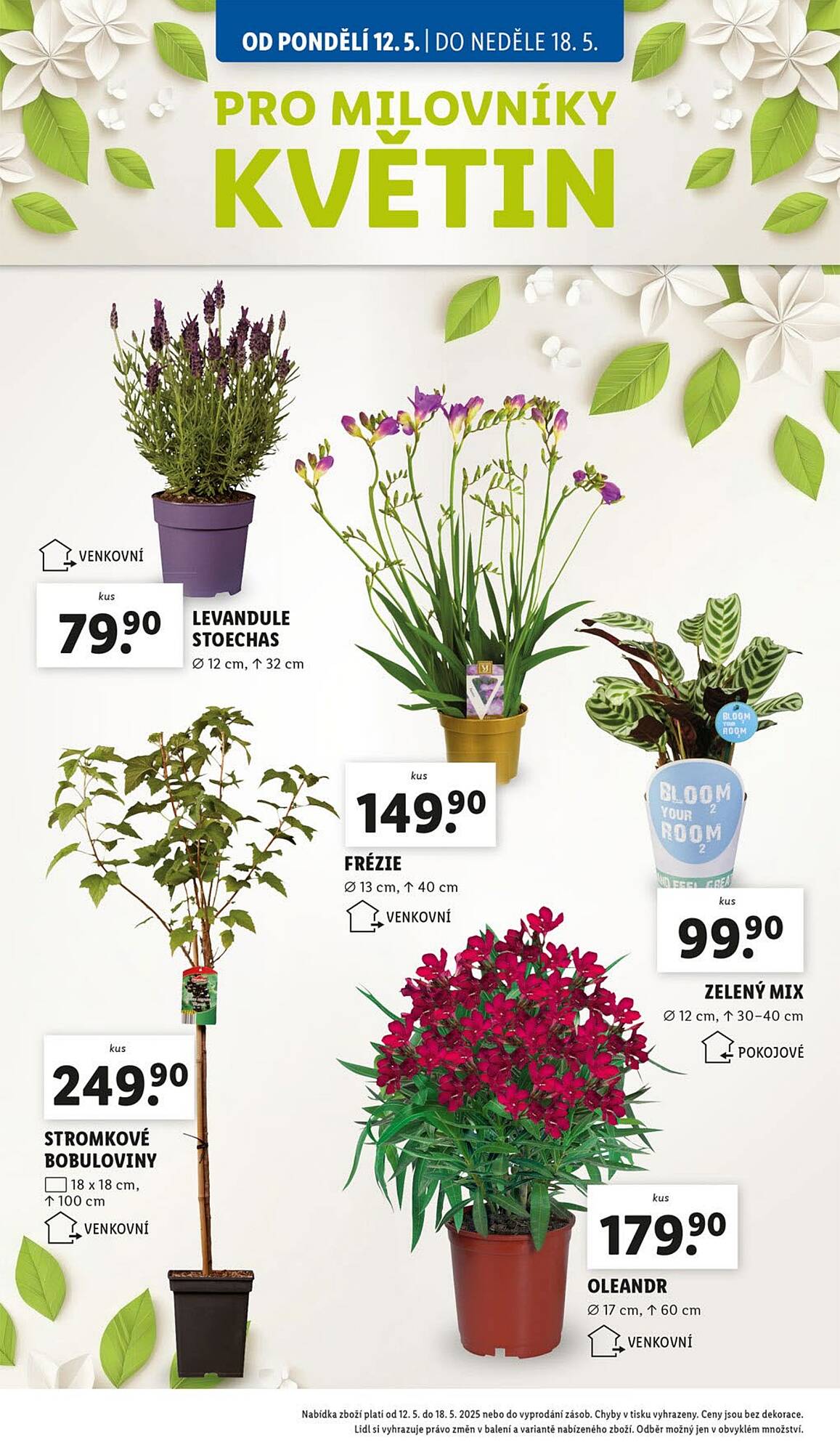 Lidl leták Strana 29