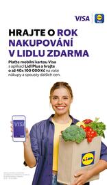 Lidl leták Strana 29