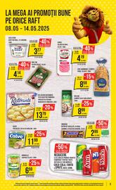 Catalog Mega Image săptămâna 19 Pagină 3