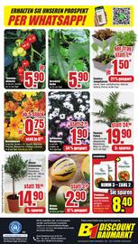 B1 Discount Baumarkt Prospekt woche 18 Seite 8
