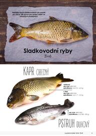 Jip leták Strana 9