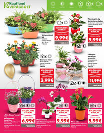 Kaufland SK akciós újság hét 19 Oldal 11