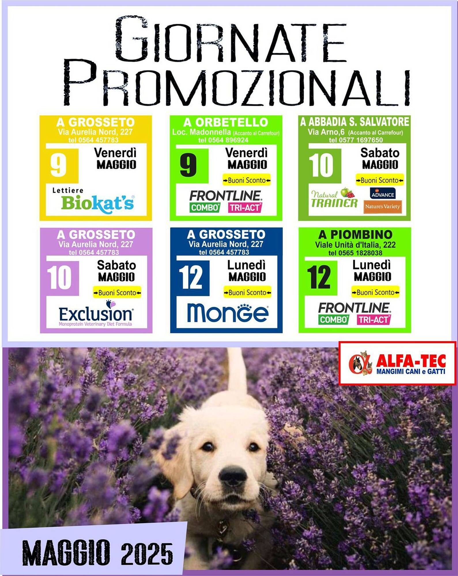 Volantino Alfa Tec Pagina 1