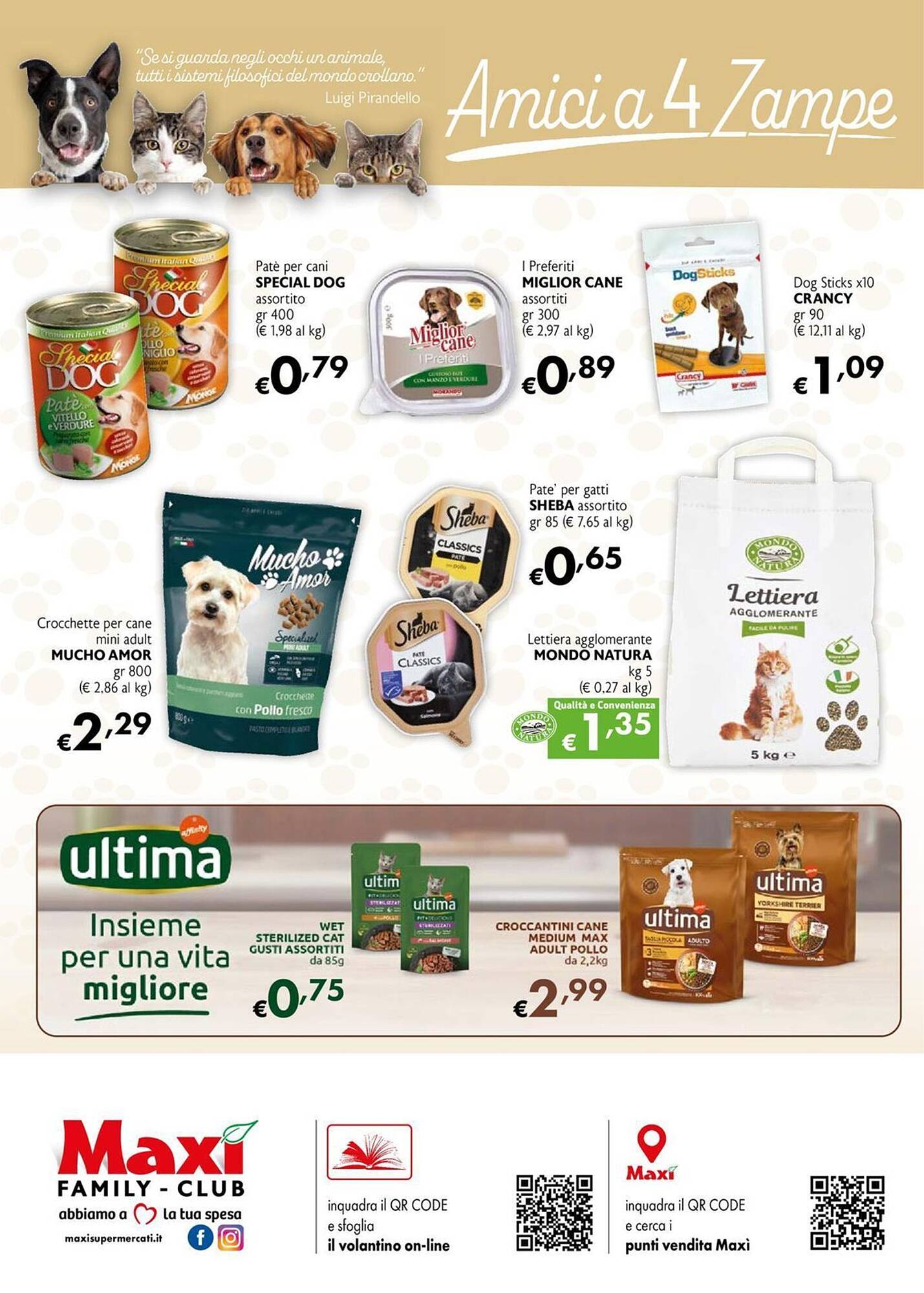 Volantino Maxi Family Pagina 8