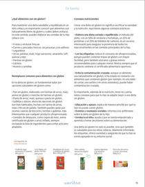 Folleto Veritas Página 15