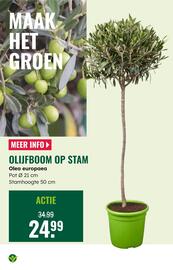 GroenRijk folder week 19 Pagina 12